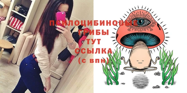 бутират Арсеньев